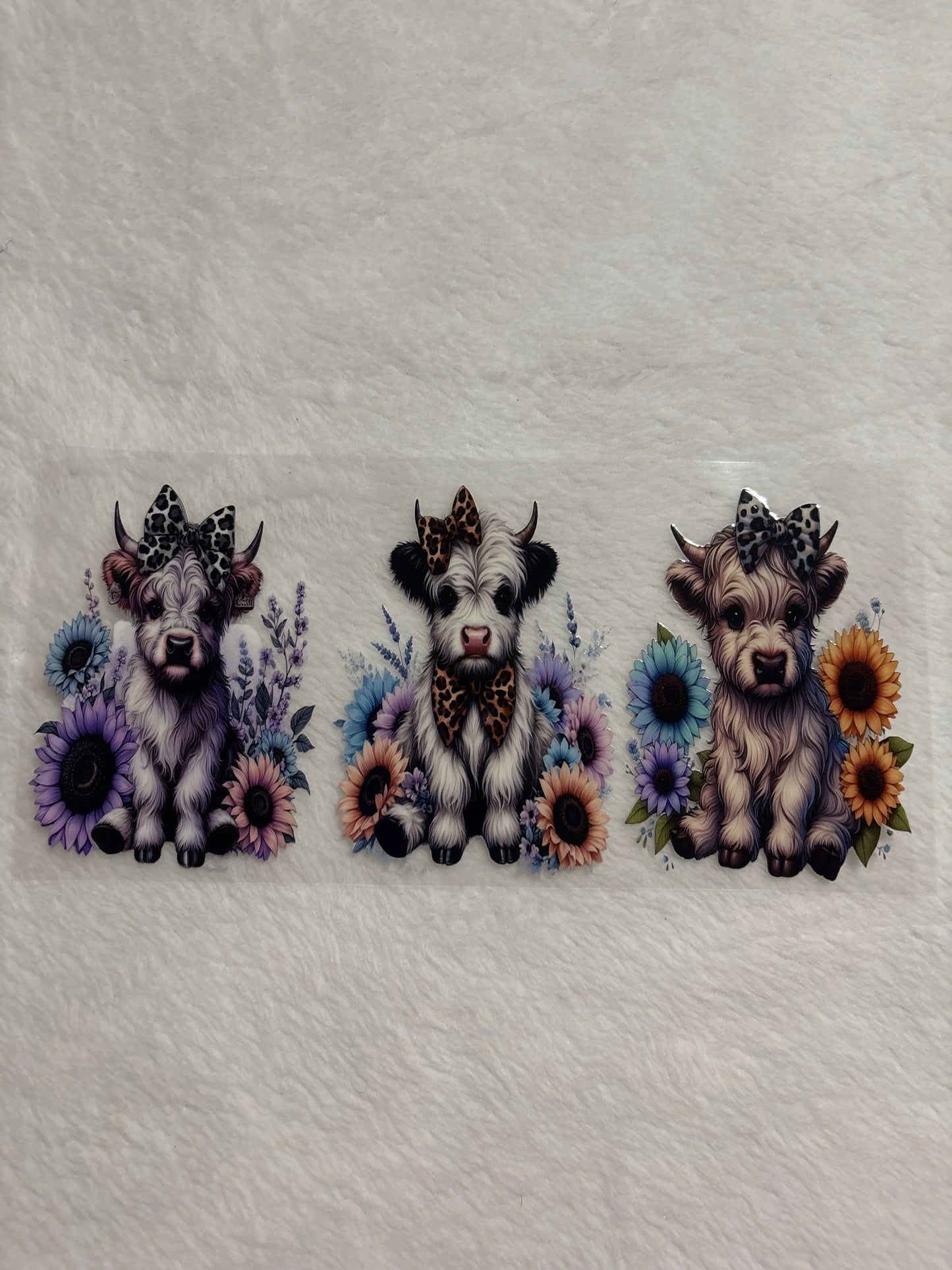 Cows