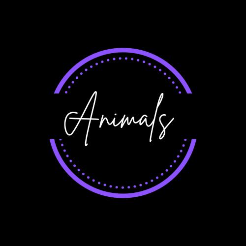 Animals