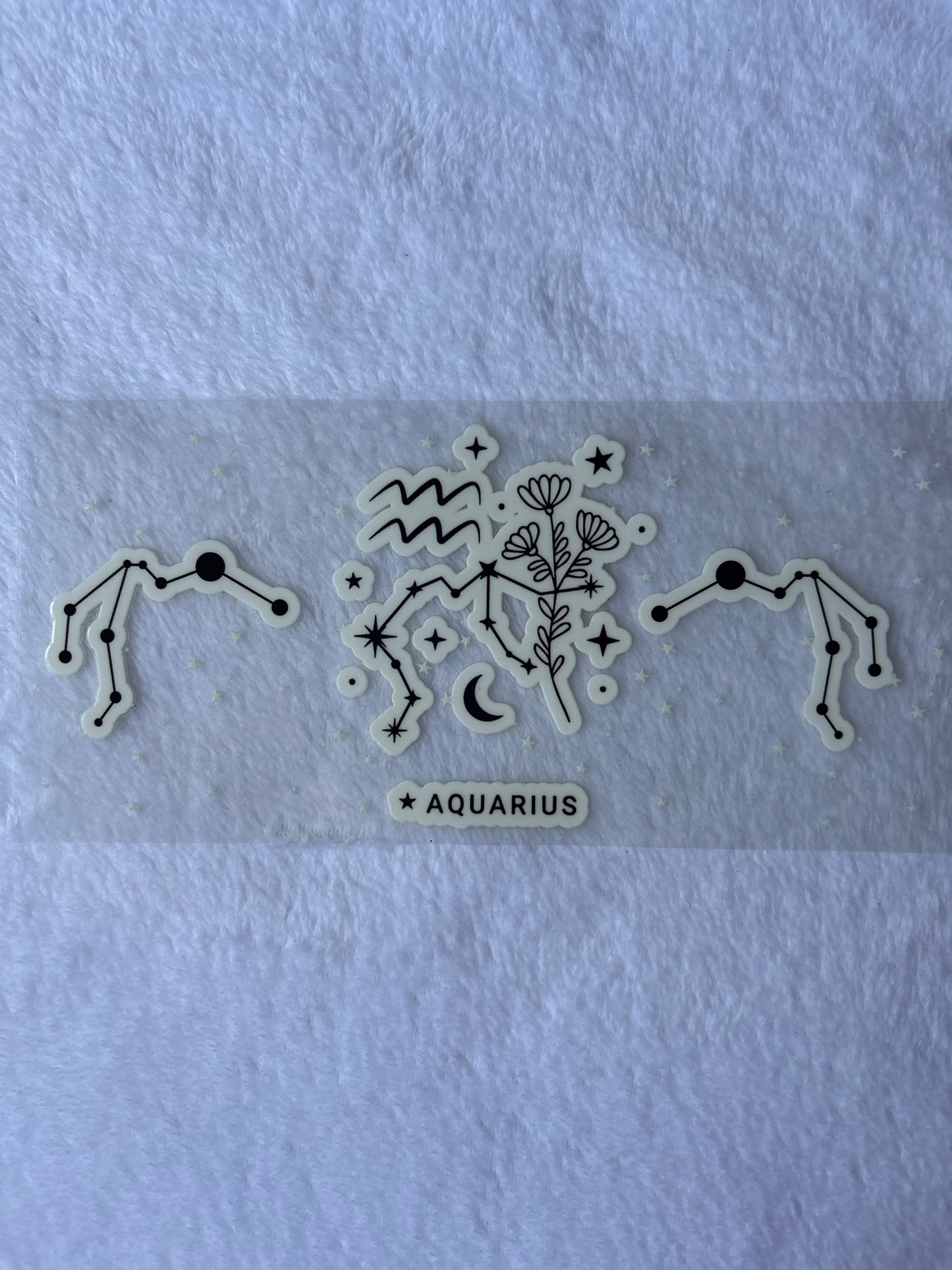 Aquarius