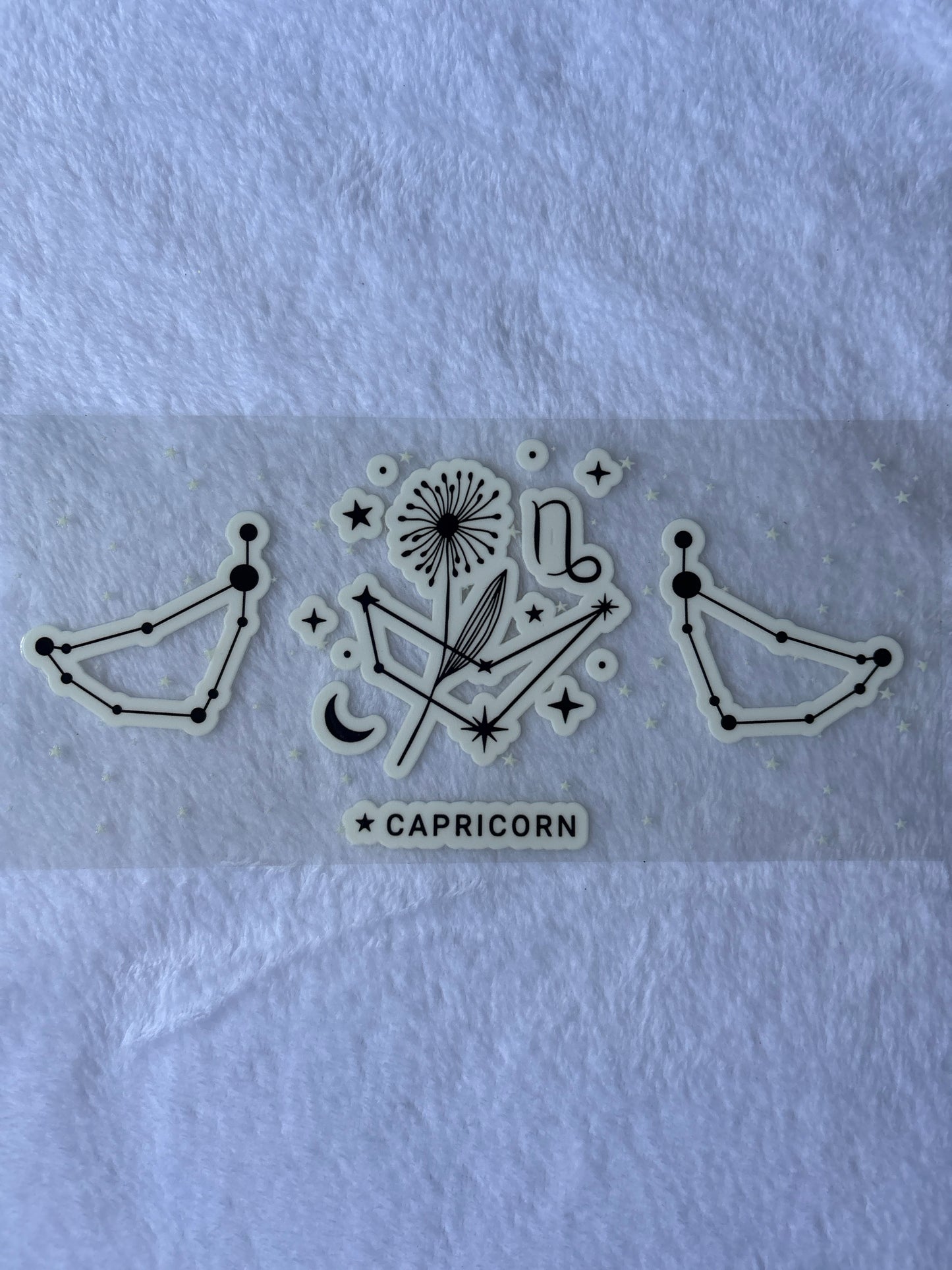 Capricorn