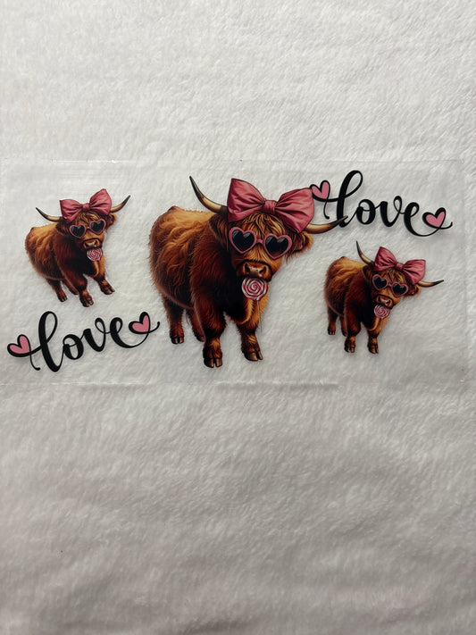 Cows