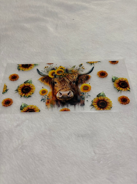 Cow W Sunflower