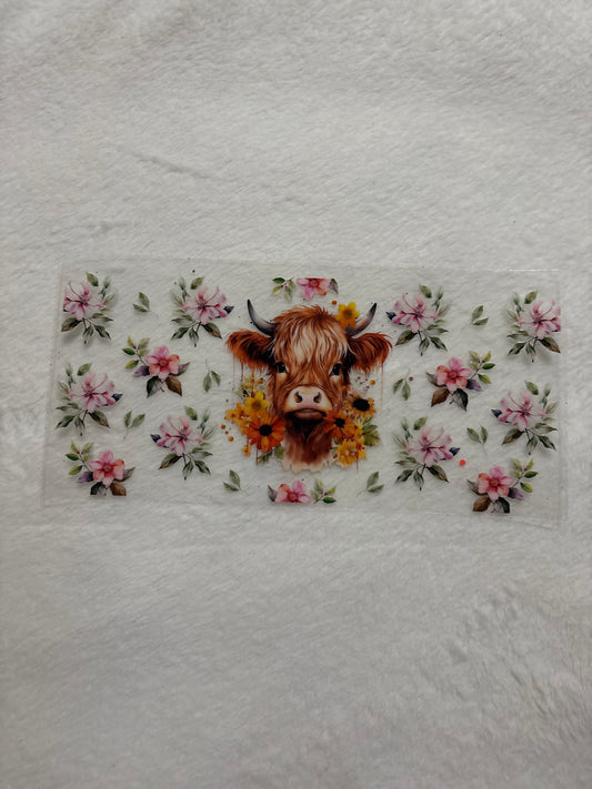 Highland Cow