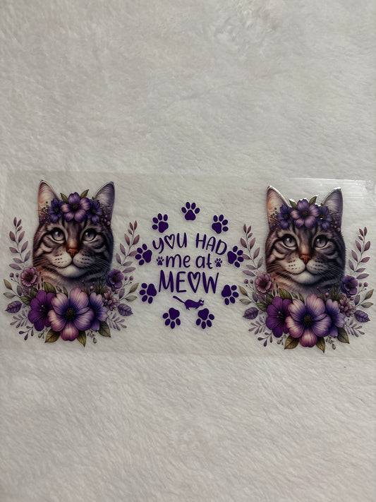 Cats