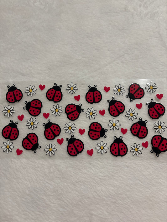 Ladybugs
