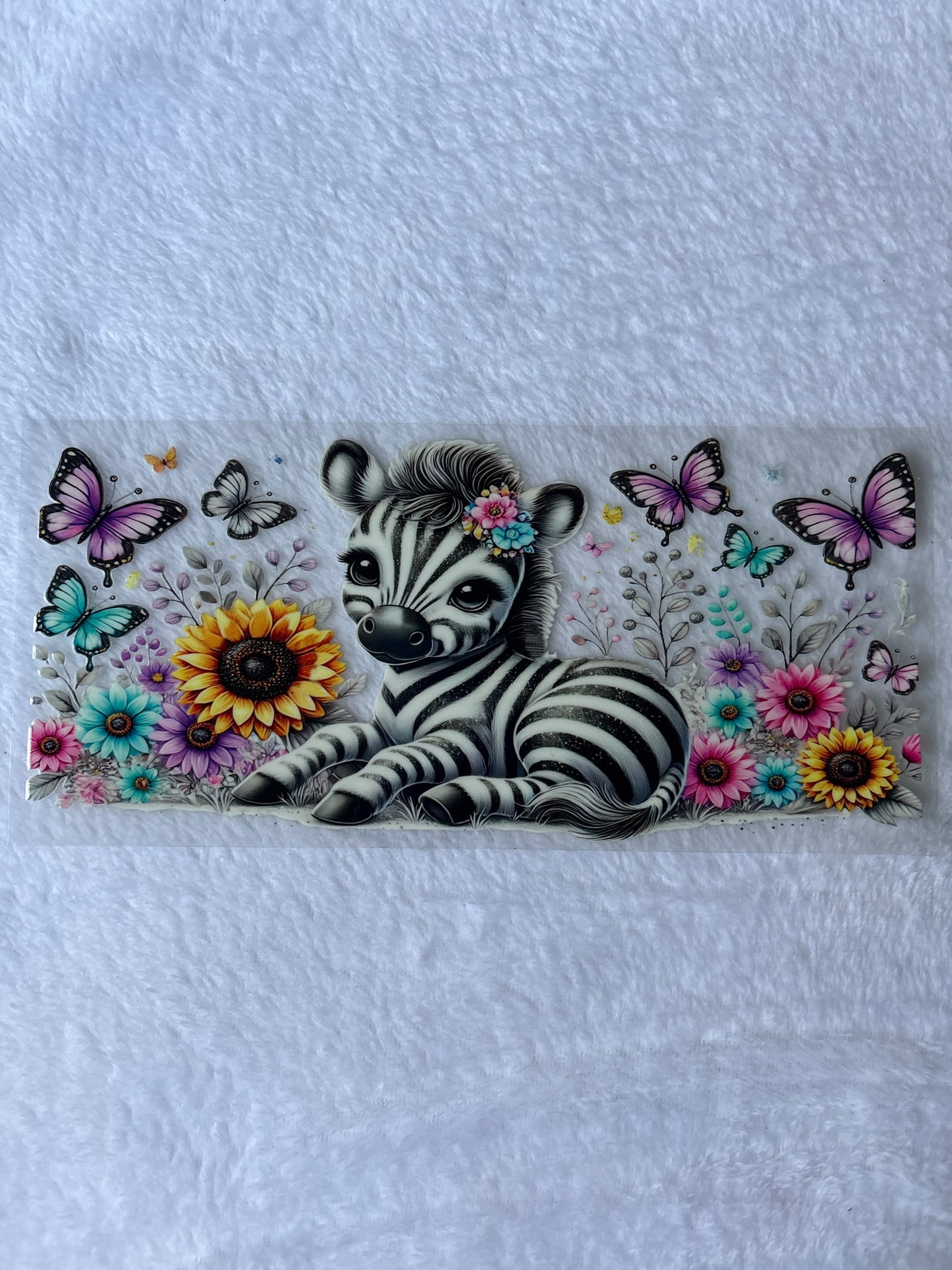 Zebra