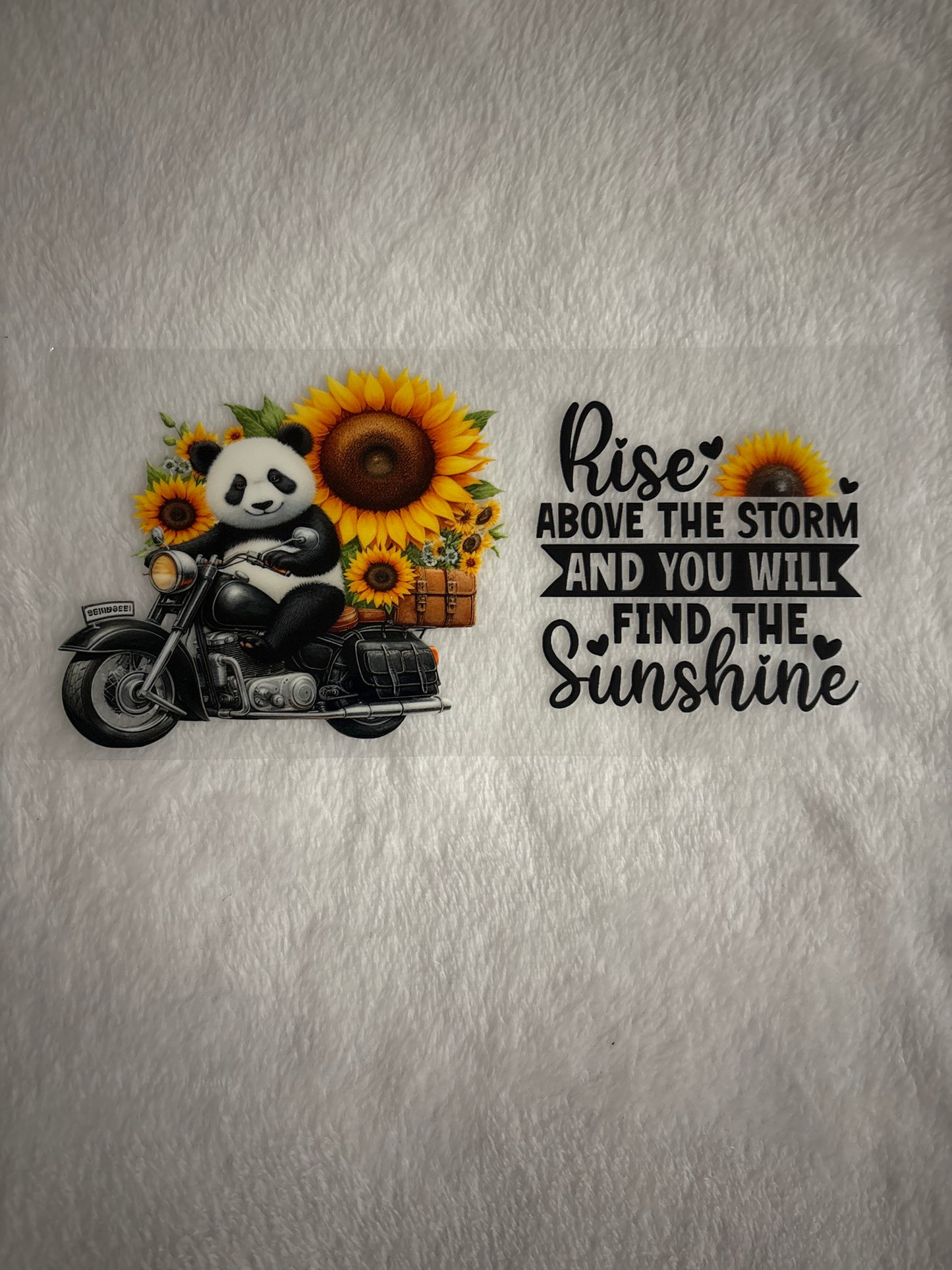 Rise Above The Storm