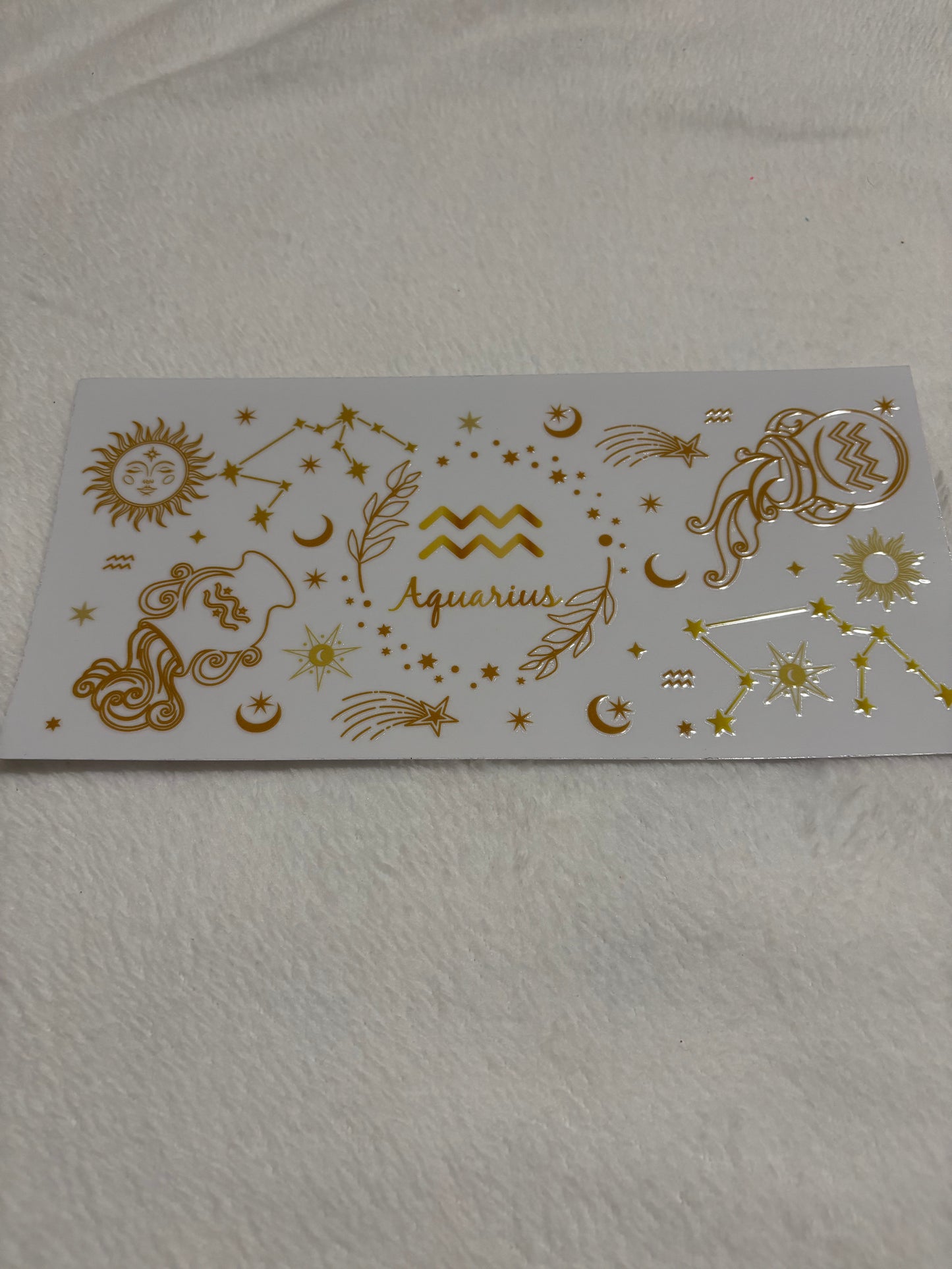 Aquarius